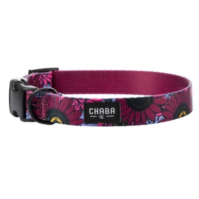 Obroża regulowana story #M lakota CHABA