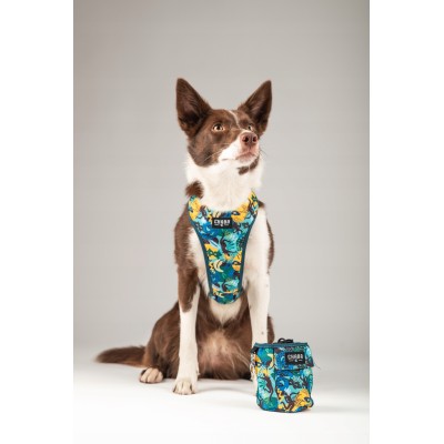 Saszetka multi story carnival CHABA