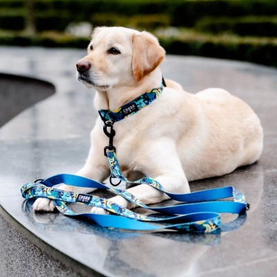 Smycz regulowana story #L carnival CHABA