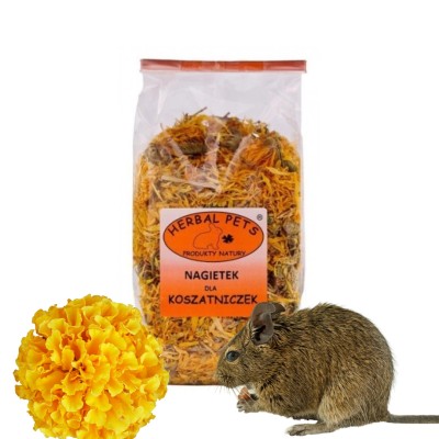Ngietek dla koszatniczek 100g HERBAL PETS