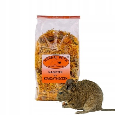 Ngietek dla koszatniczek 100g HERBAL PETS
