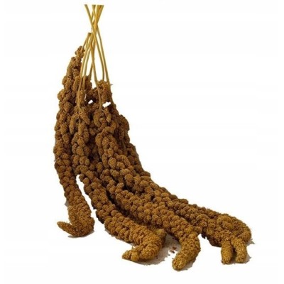 VITAPOL Proso senegalskie 100g