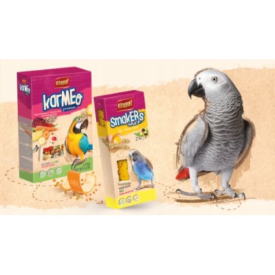 VITAPOL Smakers dla kanarka miodowa 2szt