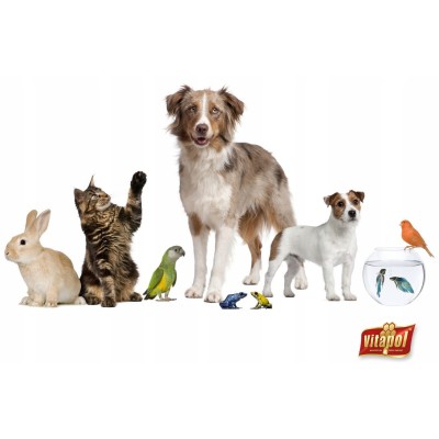 VITAPOL Vitalne sing sing 20g