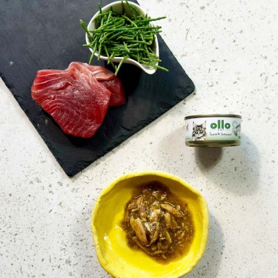 OLLO CAT nr 8 tuńczyk algi  puszka 70g SKŁAD KARMY