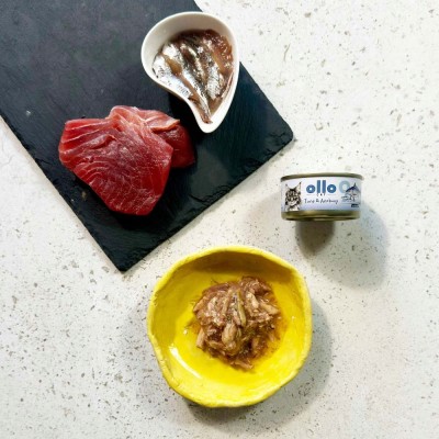 OLLO CAT nr 9 tuńczyk anchovis puszka 70g SKŁAD KARMY