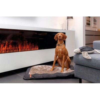 Obroża zaciskowa dla psa BE NORDIC  piaskowa/czarna L TRIXIE