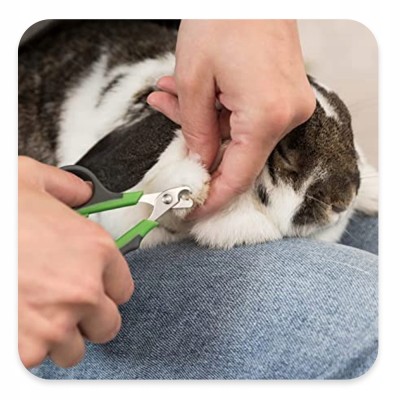 Nożyczki do paznokci 8 cm TRIXIE