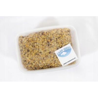 Kukurydza Truskawka 1kg CarpSeeds