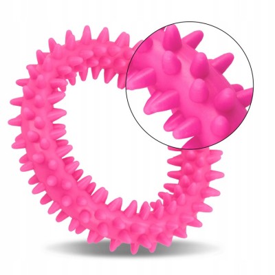 Mały ring XS dla szczeniąt różowy 9,5cm BARRY KING