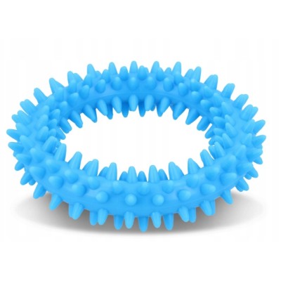 Mały ring XS dla szczeniąt niebieski 9,5cm BARRY KING