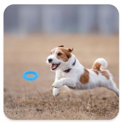 Mały ring XS dla szczeniąt niebieski 9,5cm BARRY KING