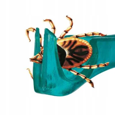 Pęseta do wyciągania kleszczy 6,5cm TRIXIE