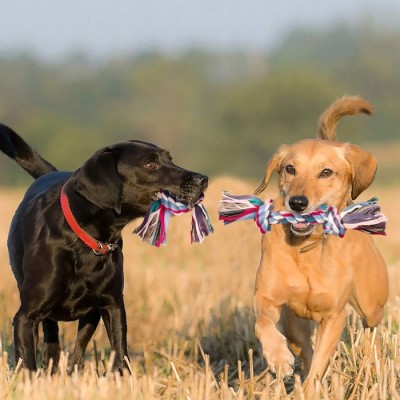 Zabawka sznur bawełniany 15cm TRIXIE