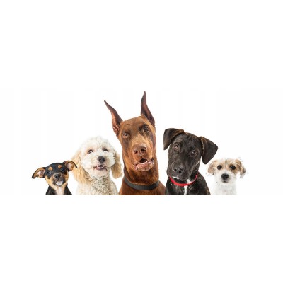 Zabawka do czyszczenia ząbów guma naturalna 15 cm miętowy smak TRIXIE