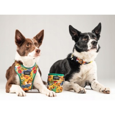 Obroża regulowana story #L jumbo CHABA