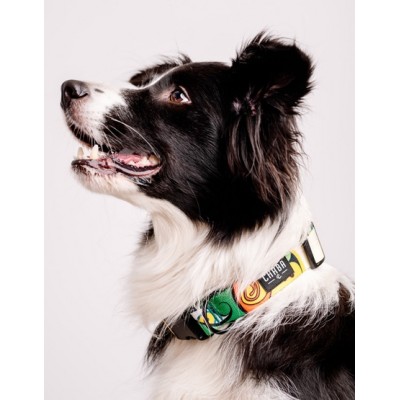 Obroża regulowana story #L jumbo CHABA