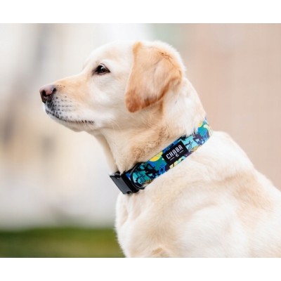 Obroża regulowana story #S carnival CHABA