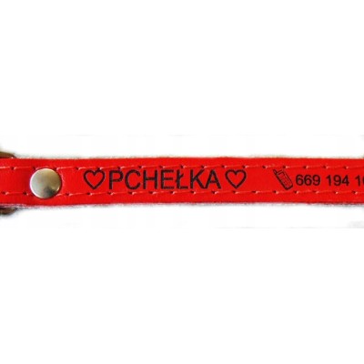 Obroża skórzana classic 12-35 brąz CHABA