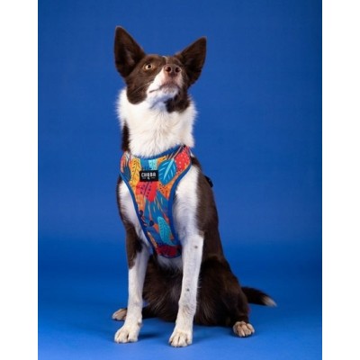 Szelki guard comfort story #M aussie CHABA