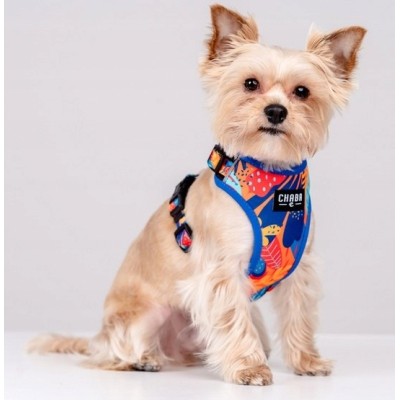 Szelki guard comfort story #M aussie CHABA