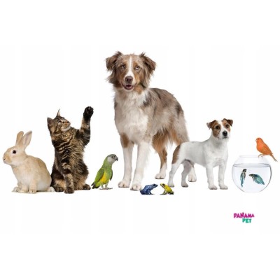 Klatka dla ptaków 40x40x70cm złoto brązowa PANAMA PET