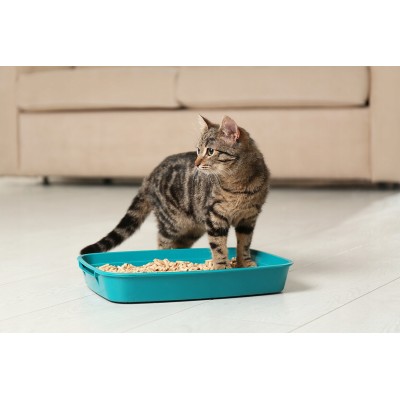 Super Benek standard lawęda  5 l CERTECH