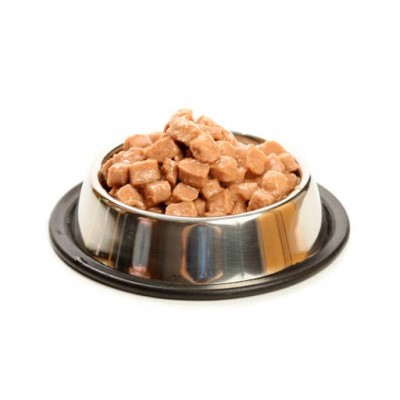 Super Benek saszetka dla kotów urinary 100g CERTECH