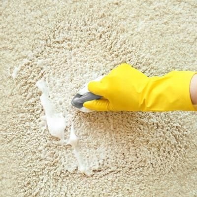 CERTECH Preparat BE FRENDI do zabrudzeń odzwierzęcych