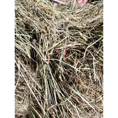 Sianko dla gryzoni z burakiem 300g CERTECH