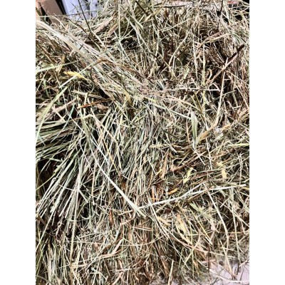 Sianko dla gryzoni z burakiem 300g CERTECH