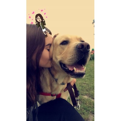 Majtki na cieczkę #XL TRIXIE