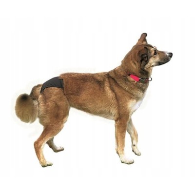 Majtki na cieczkę #XL TRIXIE