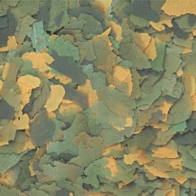 BIO-VIT 12g TROPICAL