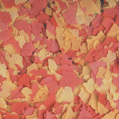 Ovo-vit 500ml TROPICAL