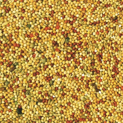 Pokarm dla papużki falistej 700g TROPICAL