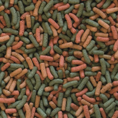 Biorept W 250ml TROPICAL