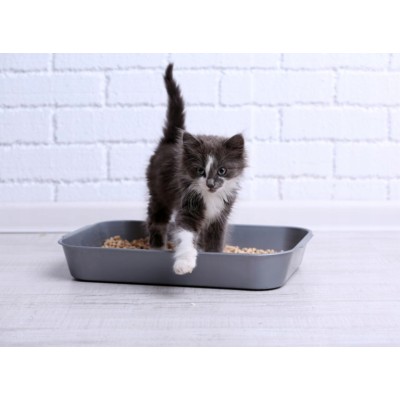 Super Benek compakt 10 l CERTECH