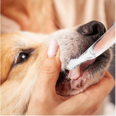 Pasta do zębów o smaku mięsnym 100g TRIXIE