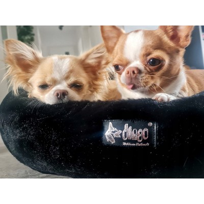 DINGO legowisko HUGME 50cm czarne z uszami