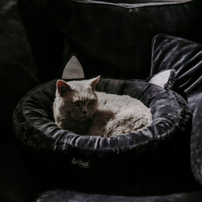 DINGO legowisko HUGME 50cm czarne z uszami