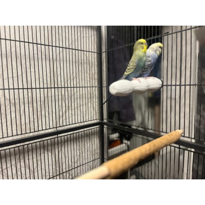 ZOLUX nakładki ścierne na żerdki dla ptaków 1,3/19cmx4