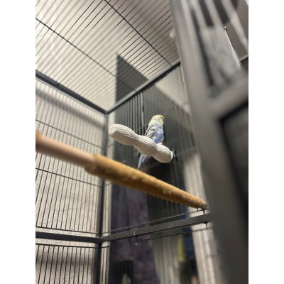 ZOLUX nakładki ścierne na żerdki dla ptaków 1,3/19cmx4