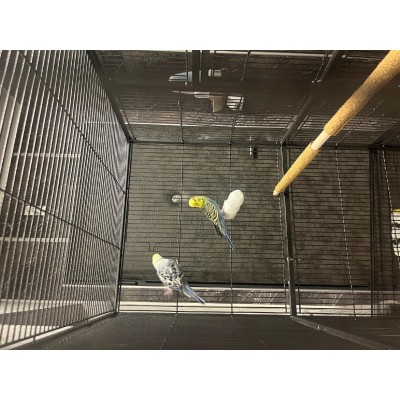 ZOLUX nakładki ścierne na żerdki dla ptaków 1,3/19cmx4