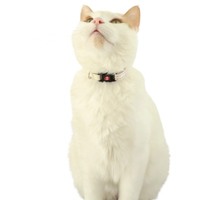 ZOLUX obroża dla kota z muszką beżowa