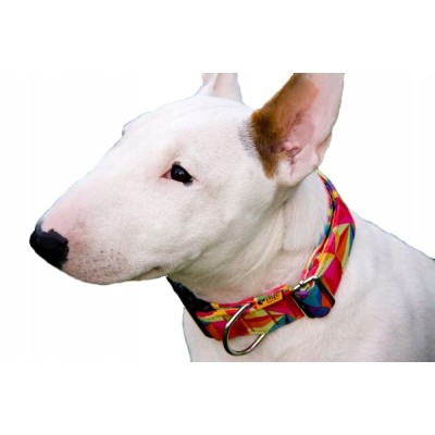 DINGO obroża regulowana CHIPAS 3,0x60cm