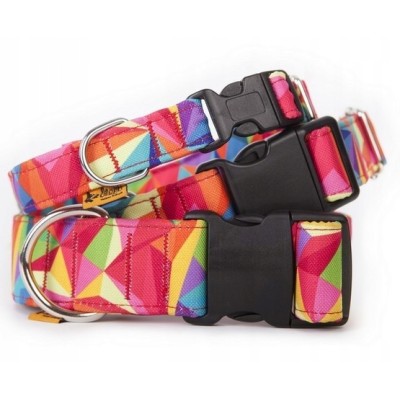 DINGO obroża regulowana CHIPAS 3,0x60cm