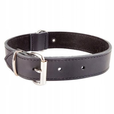 DINGO obroża skórzana 1,8x50cm czarna