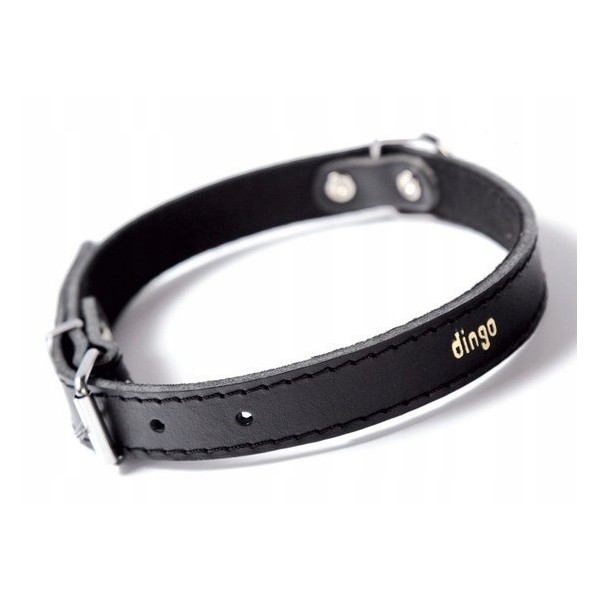 DINGO obroża skórzana 2,5x65cm czarna
