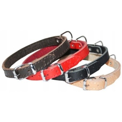 DINGO obroża skórzana 2,5x65cm czarna